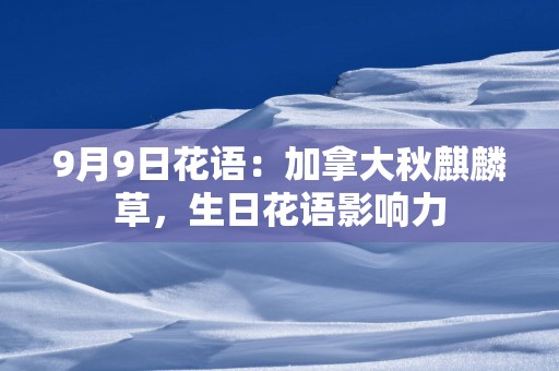 9月9日花语：加拿大秋麒麟草，生日花语影响力