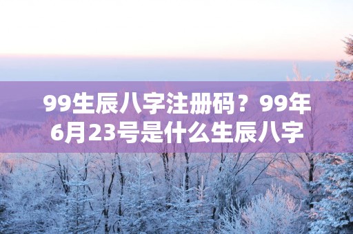 99生辰八字注册码？99年6月23号是什么生辰八字