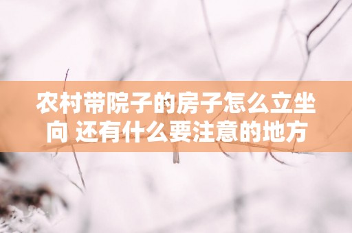 农村带院子的房子怎么立坐向 还有什么要注意的地方