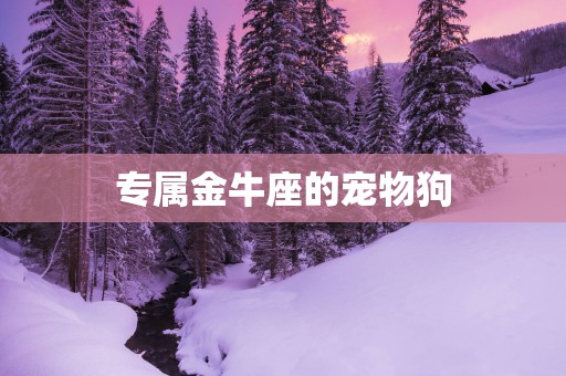 专属金牛座的宠物狗