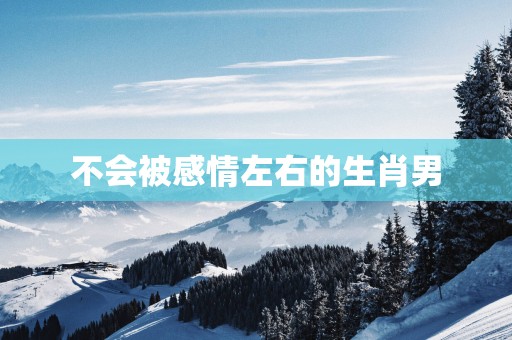 不会被感情左右的生肖男