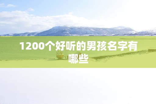 1200个好听的男孩名字有哪些
