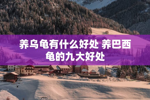 养乌龟有什么好处 养巴西龟的九大好处