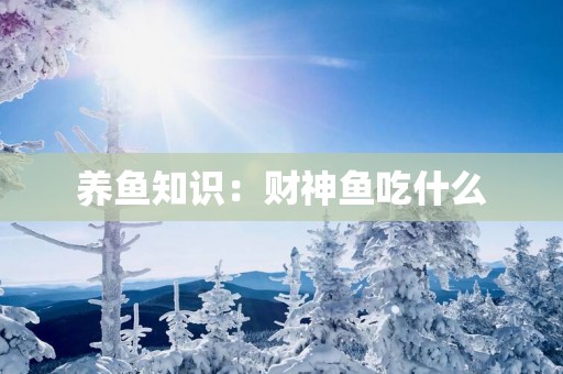 养鱼知识：财神鱼吃什么