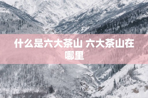 什么是六大茶山 六大茶山在哪里