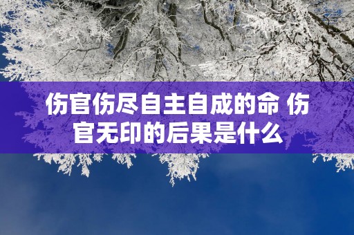 伤官伤尽自主自成的命 伤官无印的后果是什么