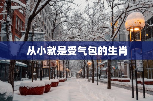从小就是受气包的生肖