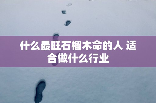 什么最旺石榴木命的人 适合做什么行业