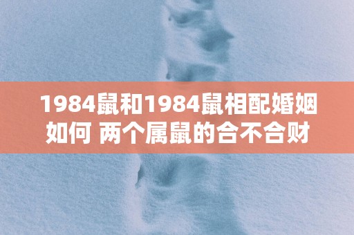 1984鼠和1984鼠相配婚姻如何 两个属鼠的合不合财