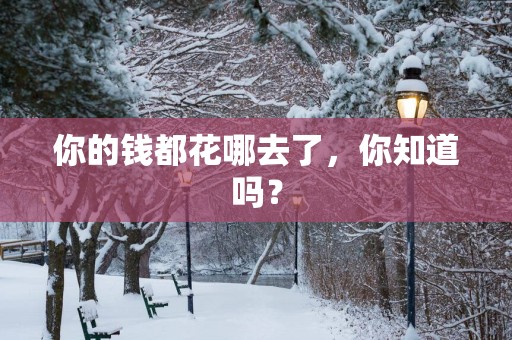 你的钱都花哪去了，你知道吗？