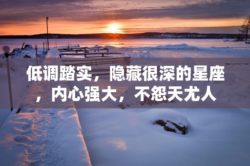 低调踏实，隐藏很深的星座，内心强大，不怨天尤人