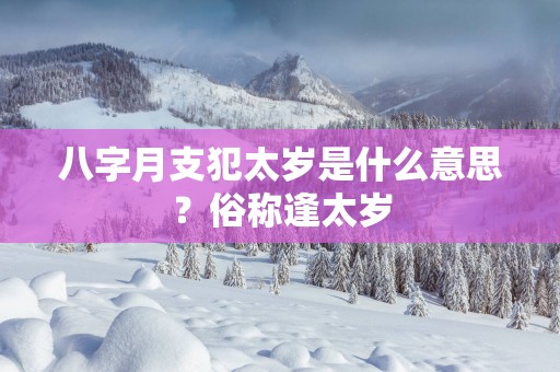 八字月支犯太岁是什么意思？俗称逢太岁