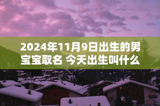 2025年11月9日出生的男宝宝取名 今天出生叫什么名字好