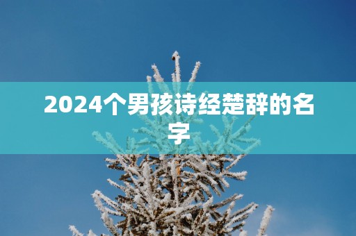 2025个男孩诗经楚辞的名字