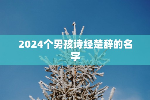 2024个男孩诗经楚辞的名字