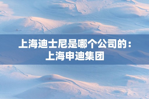 上海迪士尼是哪个公司的：上海申迪集团