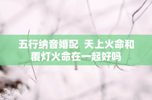 五行纳音婚配  天上火命和覆灯火命在一起好吗
