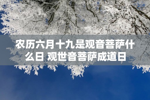 农历六月十九是观音菩萨什么日 观世音菩萨成道日