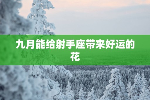 九月能给射手座带来好运的花