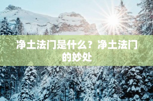 净土法门是什么？净土法门的妙处