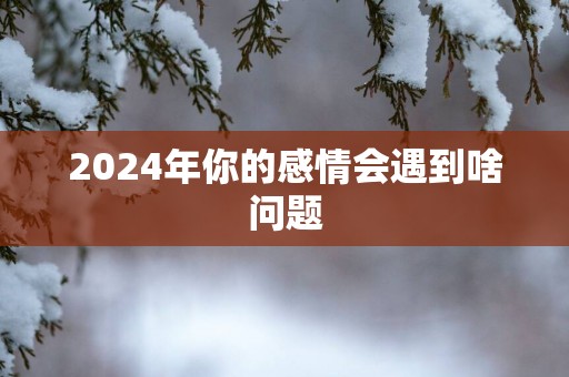 2025年你的感情会遇到啥问题