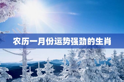 农历一月份运势强劲的生肖
