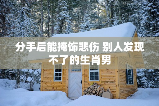 分手后能掩饰悲伤 别人发现不了的生肖男