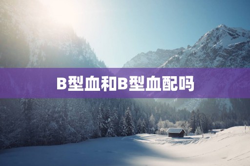 B型血和B型血配吗