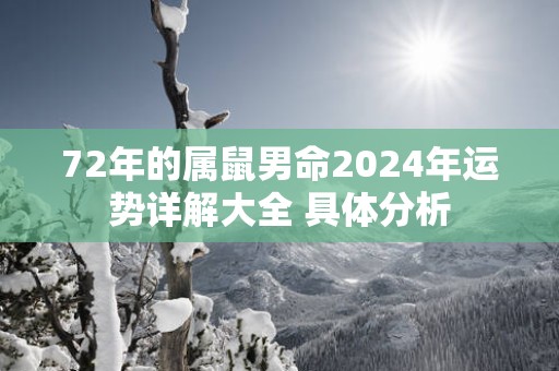 72年的属鼠男命2025年运势详解大全 具体分析