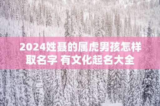 2025姓聂的属虎男孩怎样取名字 有文化起名大全