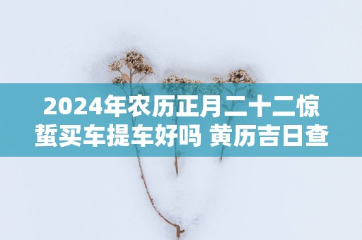 2025年农历正月二十二惊蜇买车提车好吗 黄历吉日查询