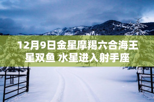 12月9日金星摩羯六合海王星双鱼 水星进入射手座