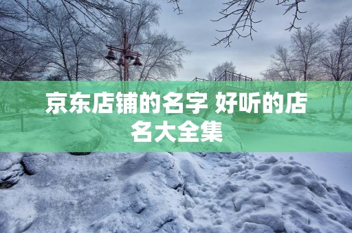 京东店铺的名字 好听的店名大全集