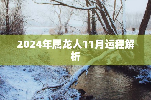 2025年属龙人11月运程解析
