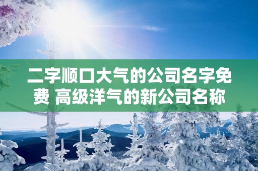 二字顺口大气的公司名字免费 高级洋气的新公司名称