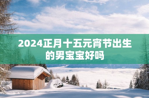 2025正月十五元宵节出生的男宝宝好吗