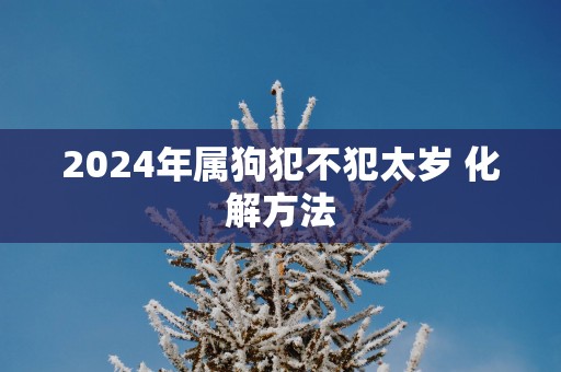2025年属狗犯不犯太岁 化解方法