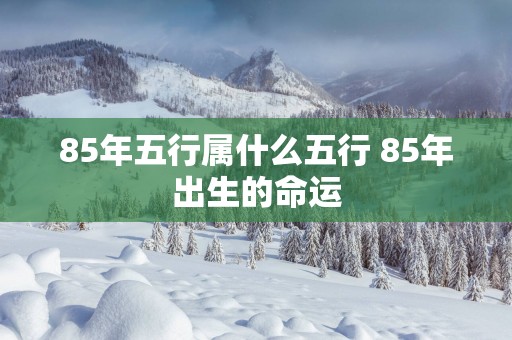 85年五行属什么五行 85年出生的命运
