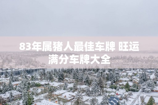 83年属猪人最佳车牌 旺运满分车牌大全