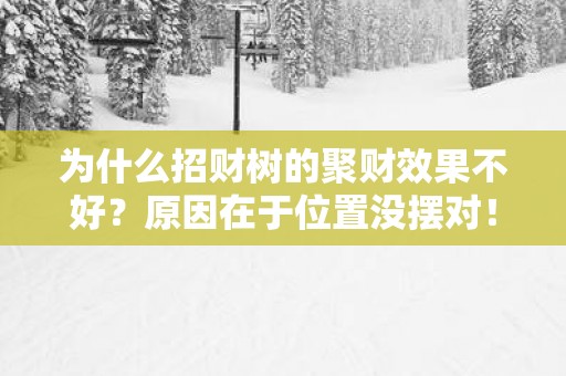 为什么招财树的聚财效果不好？原因在于位置没摆对！