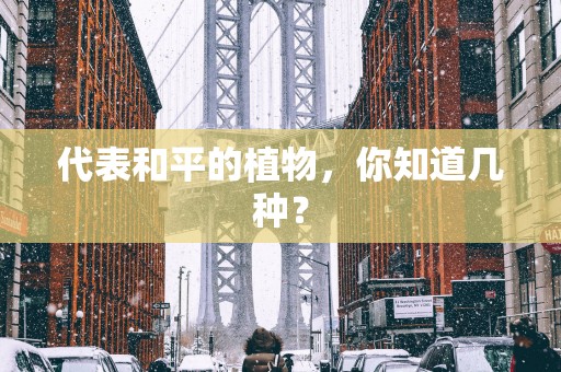 代表和平的植物，你知道几种？