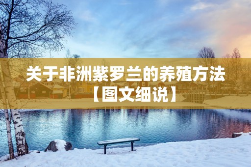 关于非洲紫罗兰的养殖方法【图文细说】