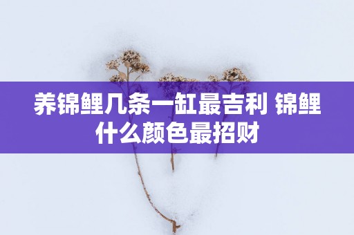 养锦鲤几条一缸最吉利 锦鲤什么颜色最招财