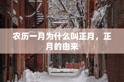 农历一月为什么叫正月，正月的由来