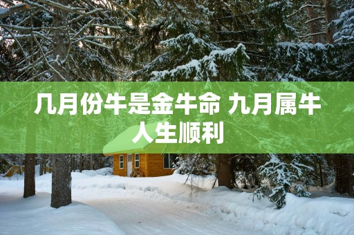 几月份牛是金牛命 九月属牛人生顺利