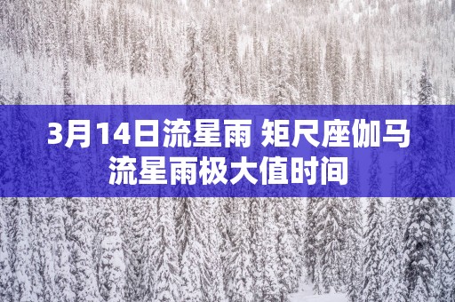 3月14日流星雨 矩尺座伽马流星雨极大值时间