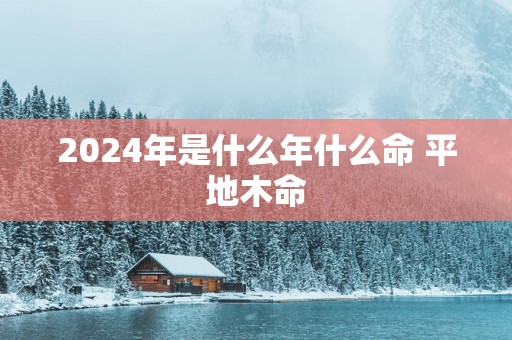 2025年是什么年什么命 平地木命