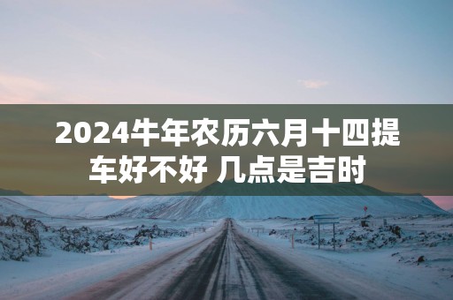 2025蛇年农历六月十四提车好不好 几点是吉时