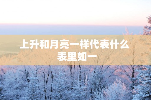上升和月亮一样代表什么  表里如一