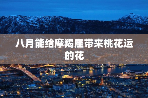 八月能给摩羯座带来桃花运的花